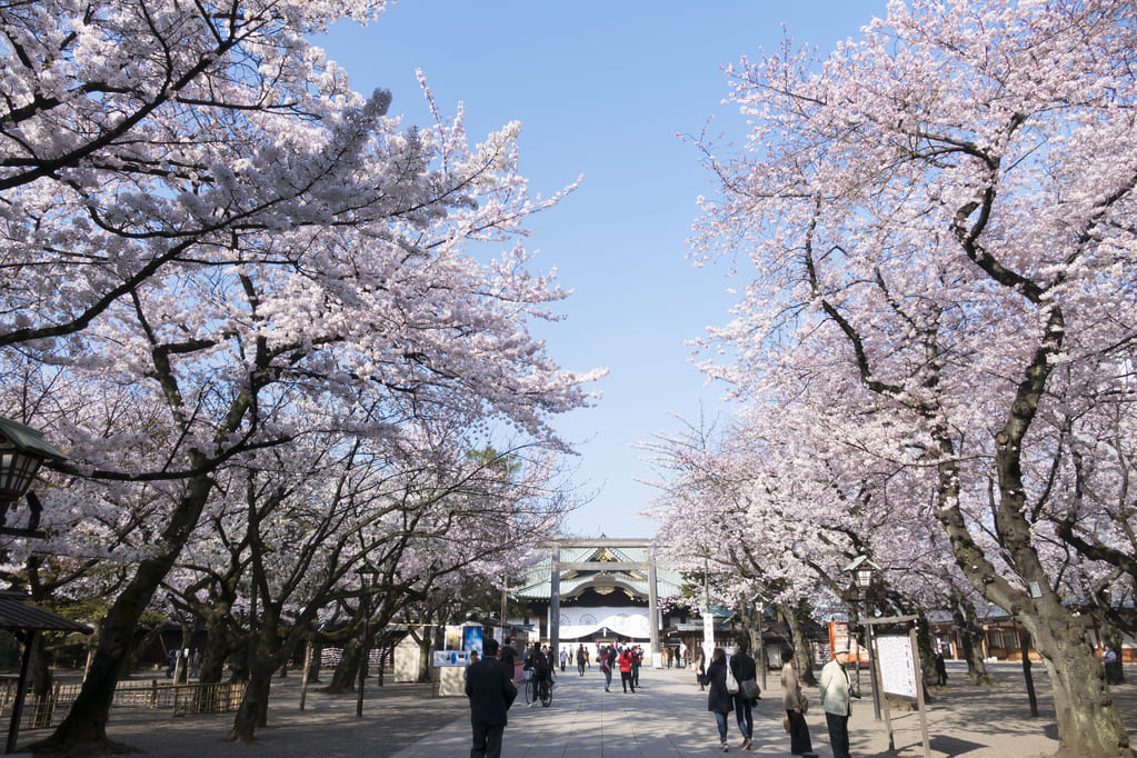 日本有数の桜の名所「靖國神社」