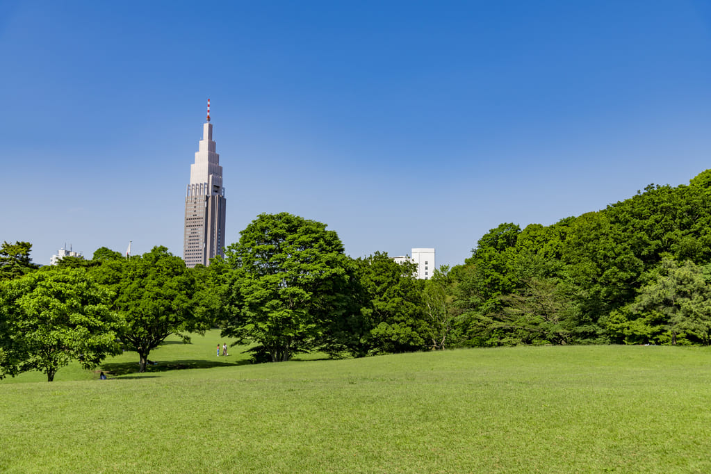 都会のほっとできる広大なオアシス「代々木公園」