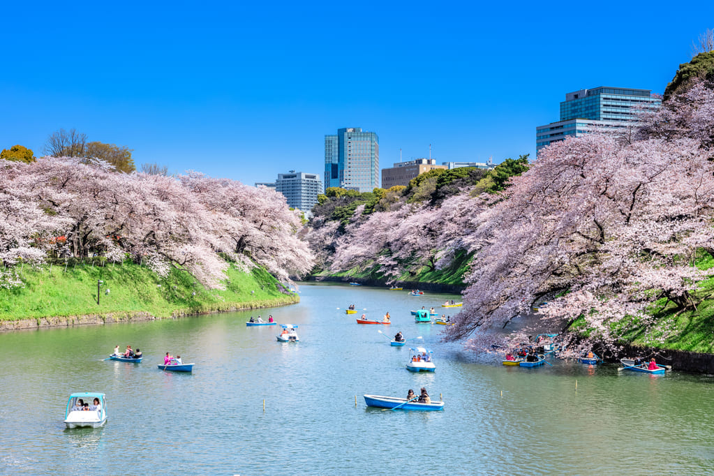 千鳥ヶ淵