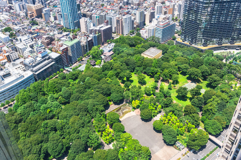 都会にある癒されるスポット「新宿中央公園」