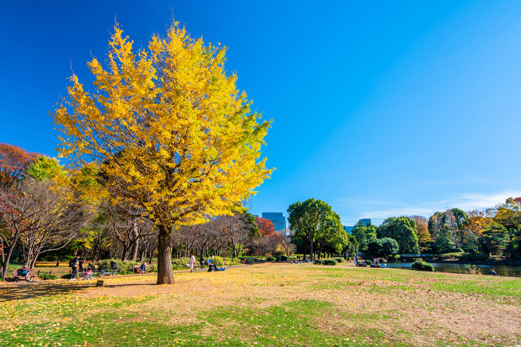 北の丸公園