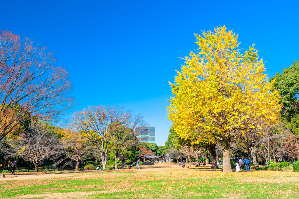 北の丸公園