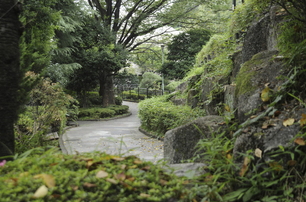 西郷山公園