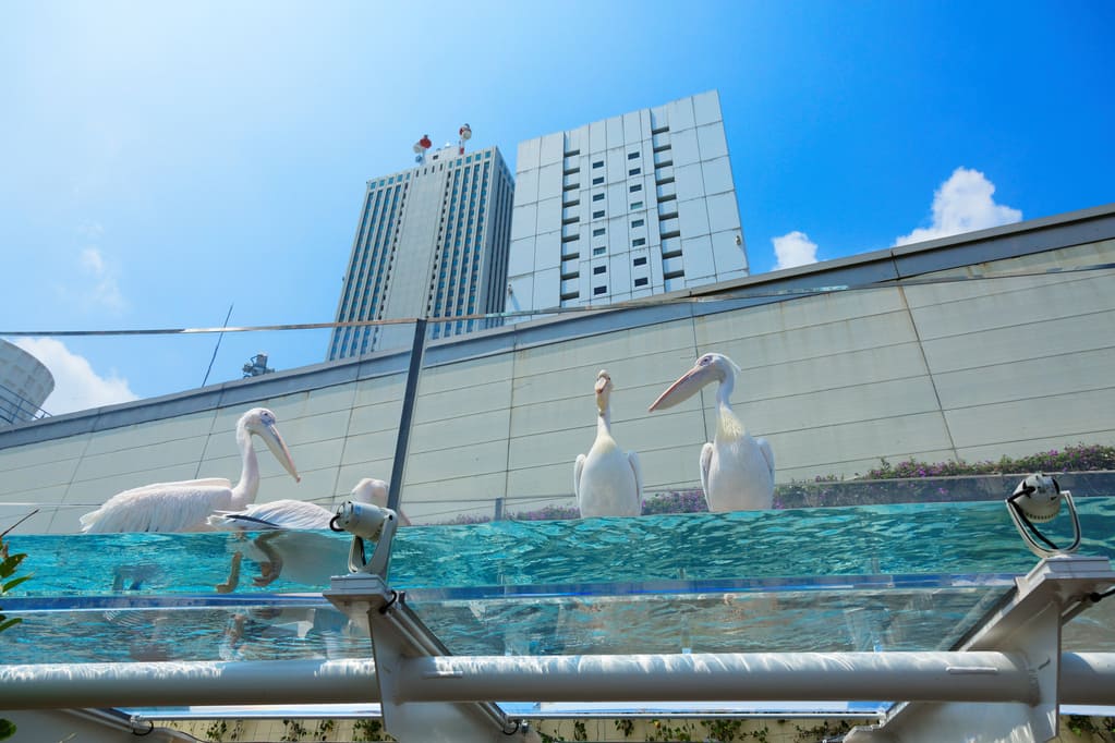 子どもから大人まで楽しめるサンシャイン水族館