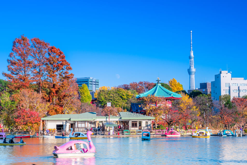 上野公園がある街