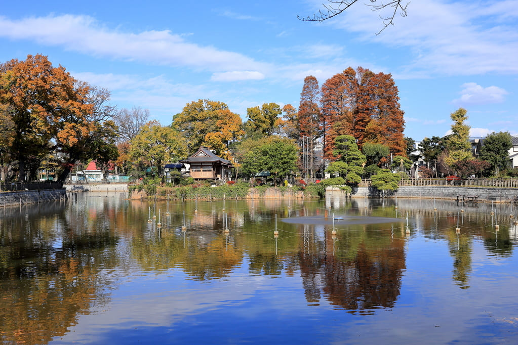 動物とも触れ合える住民の憩いの場・碑文谷公園