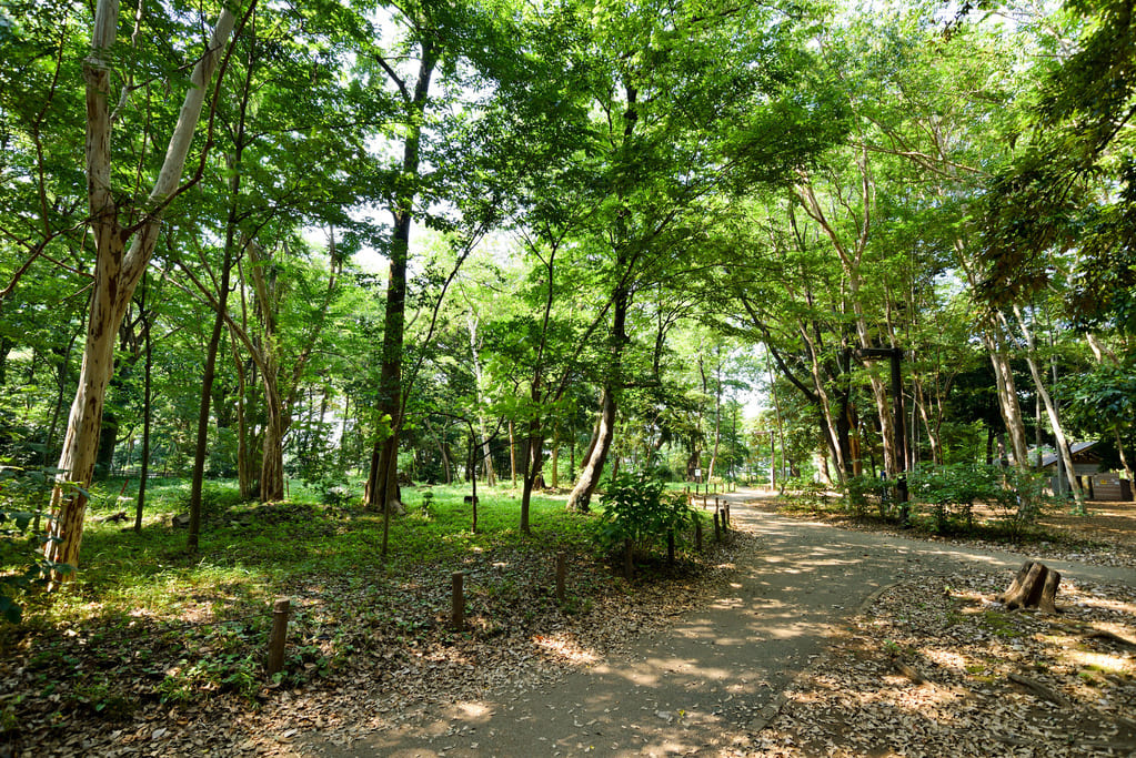 公園もいくつかある