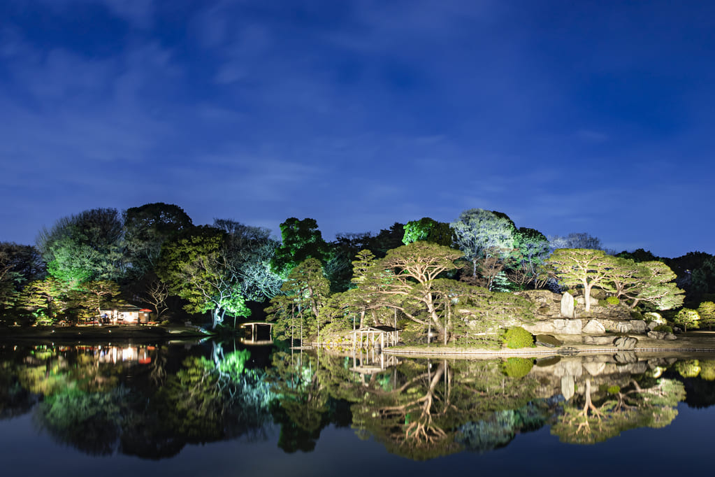 築山から見る庭園内の風景が絶景の六義園