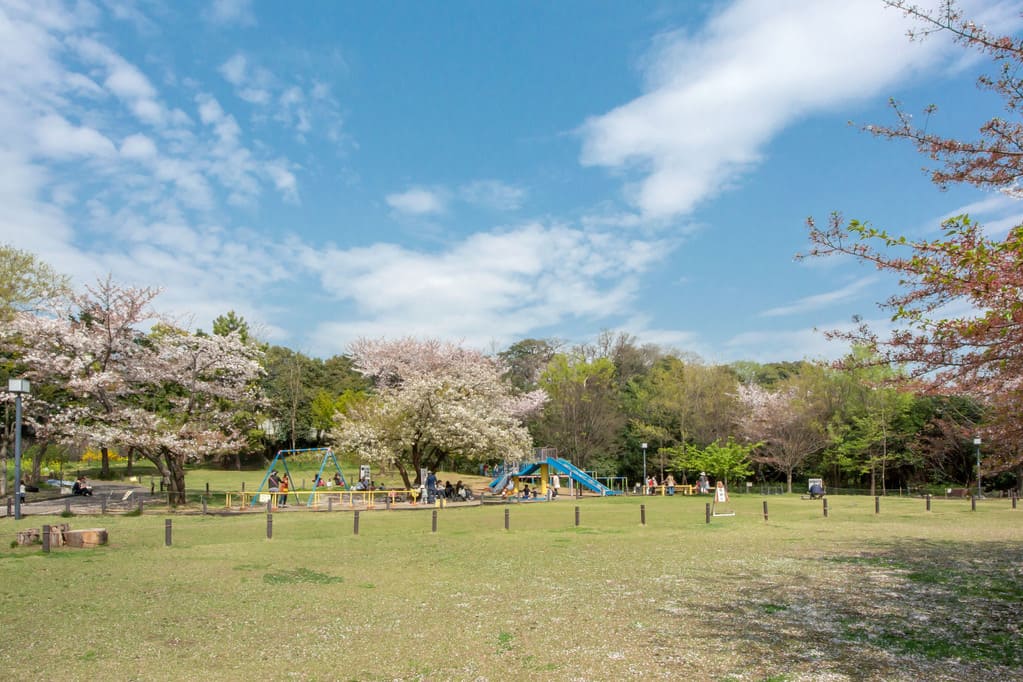 菅刈公園