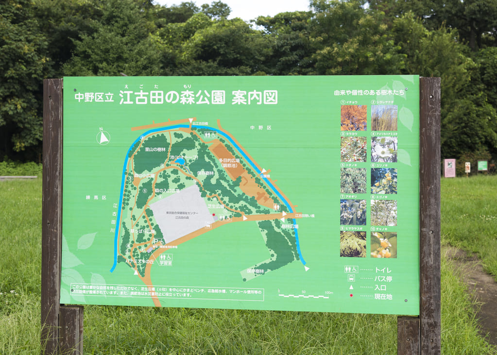 中野区立江古田の森公園