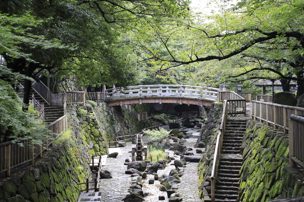 公園も多く緑が感じられる