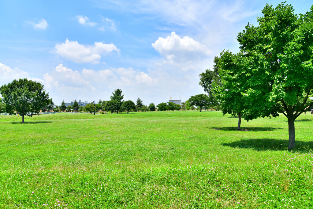 中川公園