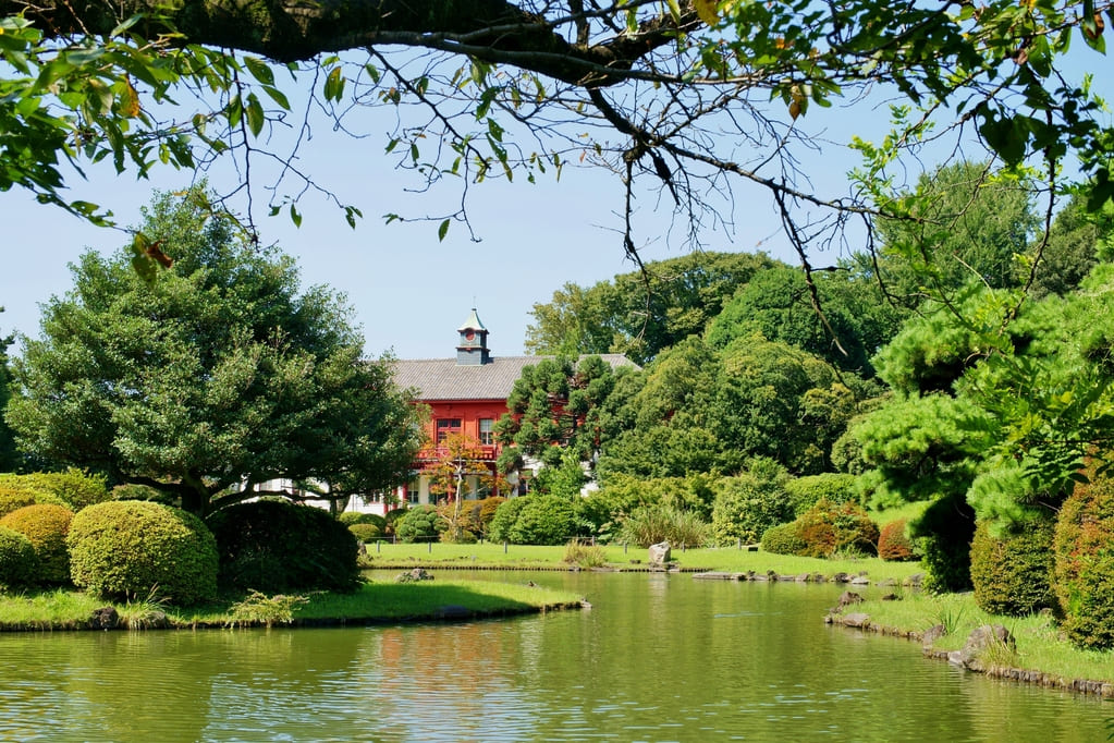 小石川植物園