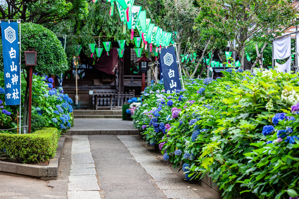 白山神社