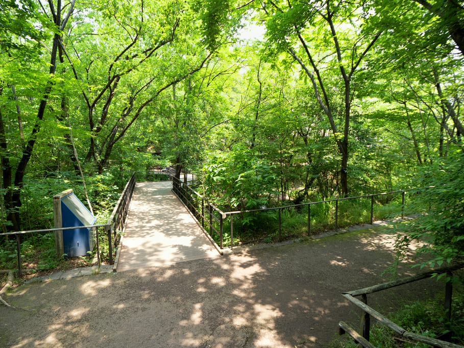 赤羽自然観察公園