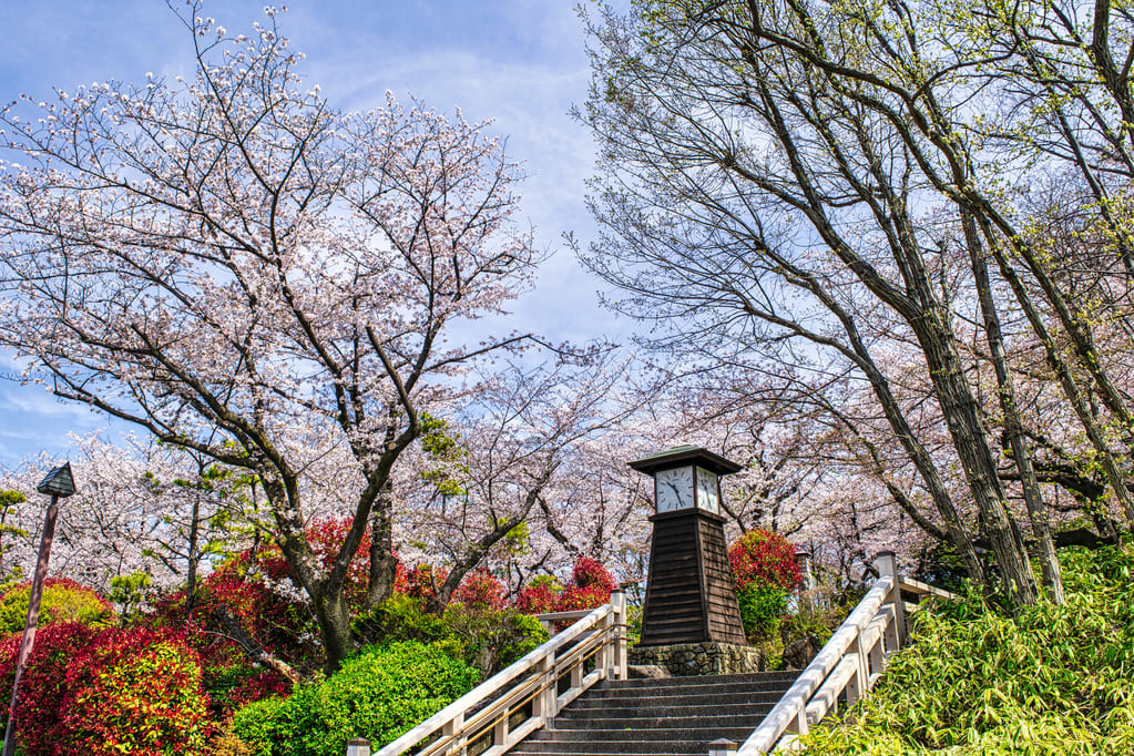 飛鳥山公園