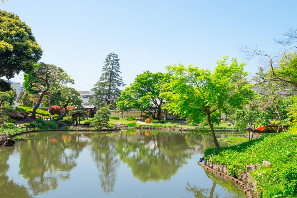 肥後細川庭園（松聲閣）