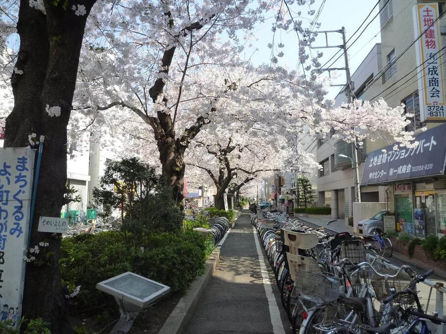 柿の木坂の周辺施設について