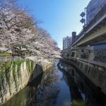 歴史ある関口の街の特徴や歴史について解説