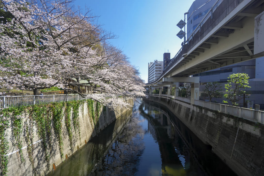 歴史ある関口の街の特徴や歴史について解説