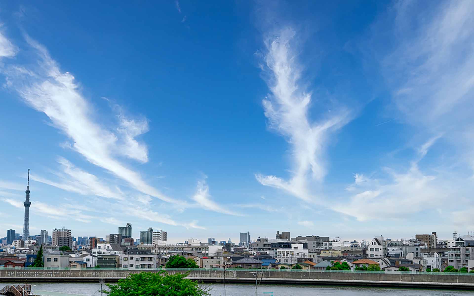 奥戸の街の特徴や歴史についてご紹介