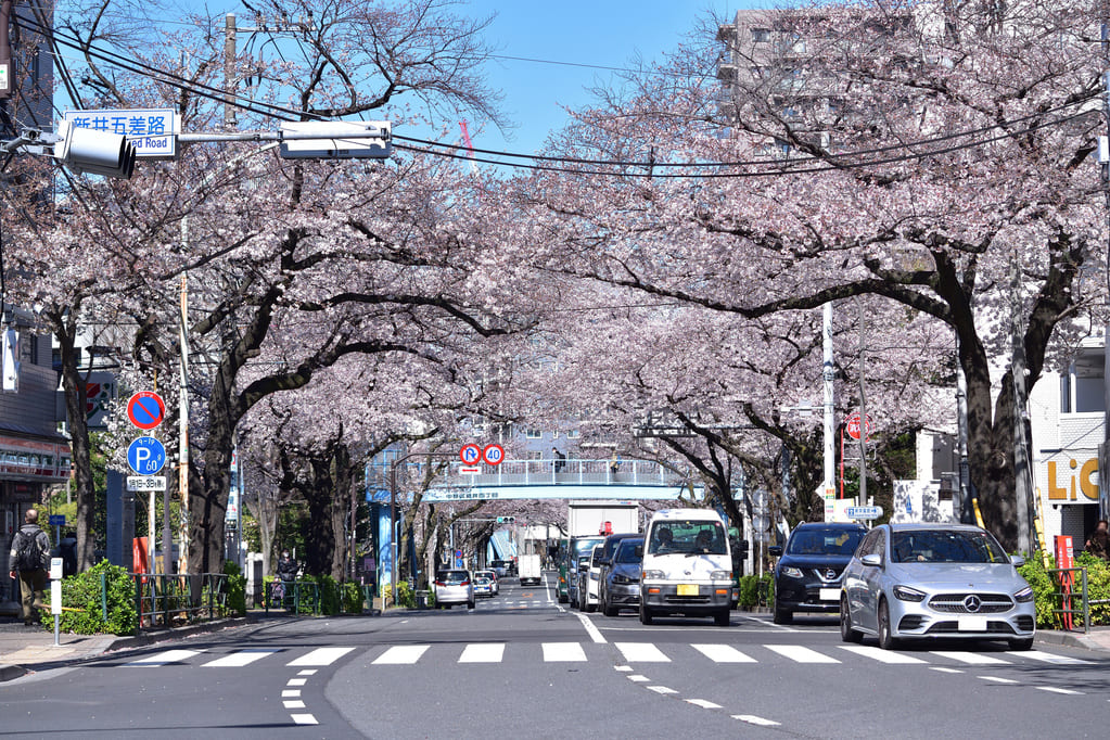 新井のオフィス単価の相場や近隣のおすすめ物件をご紹介